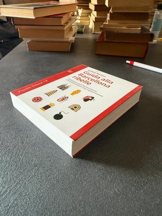 Guida alla Barcellona ribelle