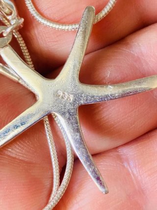 Colgante Plata Estrella de Mar