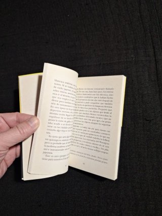 Junichiro Tanizaki. El elogio de la sombra