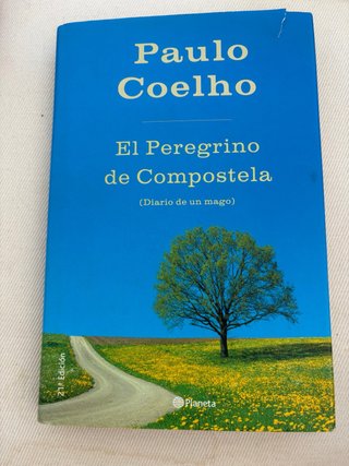 “El peregrino de Compostela”