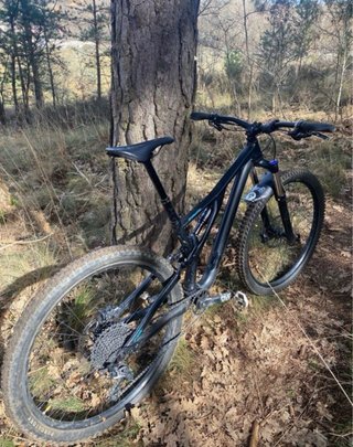 Bicicleta Specialized Stumpjumper MTB