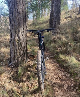 Bicicleta Specialized Stumpjumper MTB