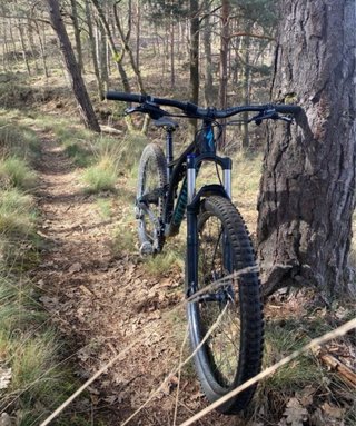 Bicicleta Specialized Stumpjumper MTB