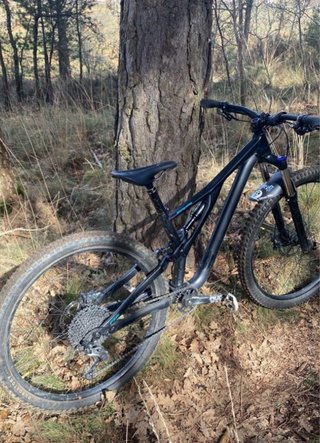 Bicicleta Specialized Stumpjumper MTB