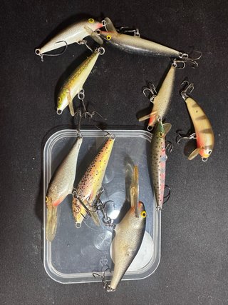Pesca a Mosca Completa