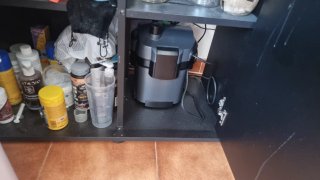 Acuario 240l completo.