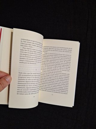 Pablo D'Ors. Biografía del silencio