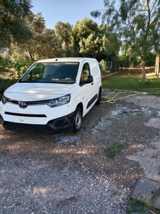 Furgoneta Blanca Dana Baja - Recambio