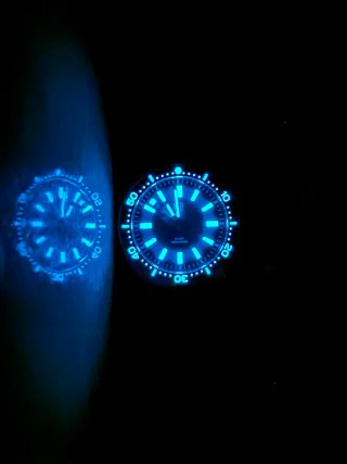 Watchdives WD1965 V2 62MAS Reloj de Buceo