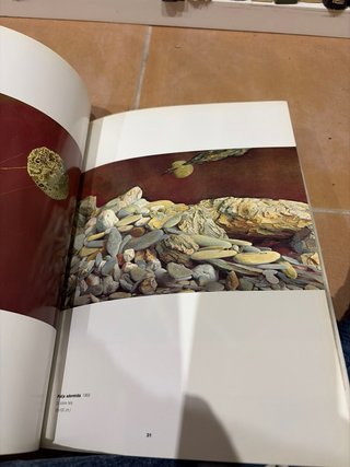 Libro arte