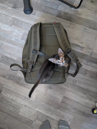 Mochila Goruck GR2 40L Verde Oliva