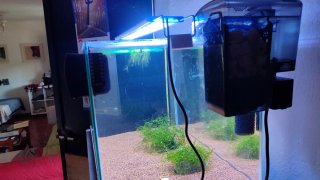 Acuario 60l completo