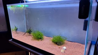 Acuario 60l completo