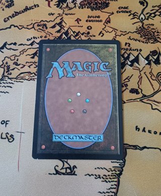 CARTA MAGIC - SEAHUNTER