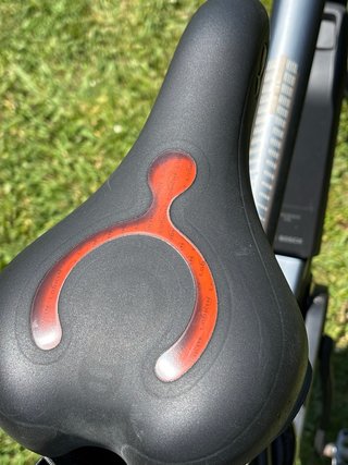Bicicleta eléctrica Bosch en perfecto estado