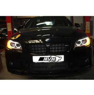 Faros delanteros Bi Xenon BMW Serie 5 F10