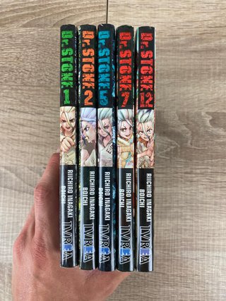 Dr. Stone