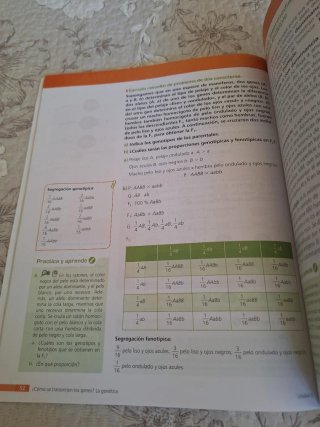 Biología y Geología, 4o ESO.