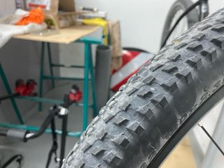 ORBEA MX40 29” Talla L + Casco + Portabicis