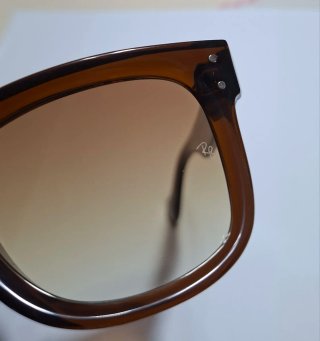 Occhiali da sole Ray-Ban Wayfarer Reverse