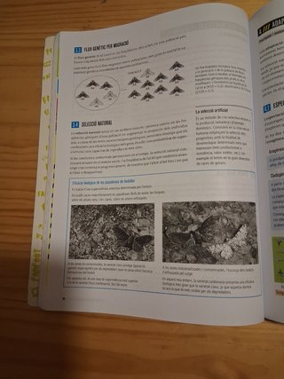 Biologia i Geologia 4, Secundària, Fanfest Baula