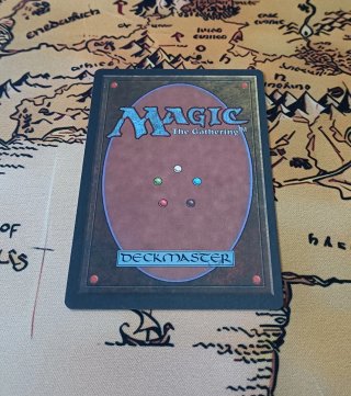 CARTA MAGIC - BRAINSTORM
