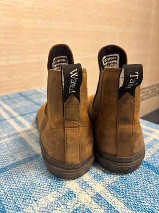 Zapatilla Globe