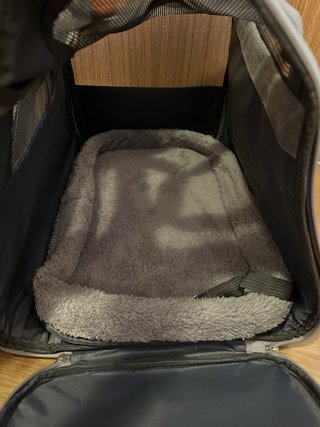 Transportín Perro Gato NICEOWL Plegable