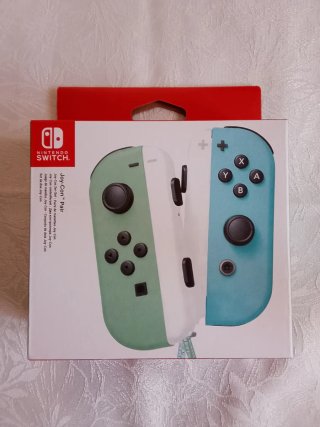 Nintendo Switch Joy-Con Pair