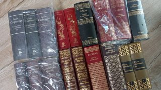 Lote de libros de literatura clasica