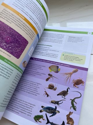 Libro Biologia 1ºBachillerato. Santillana.