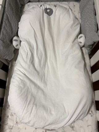 Nido Reductor Bebé Starlitebaby Oso