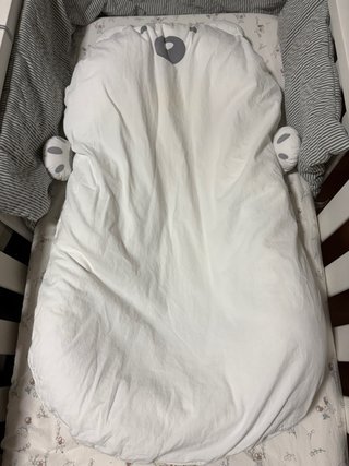Nido Reductor Bebé Starlitebaby Oso