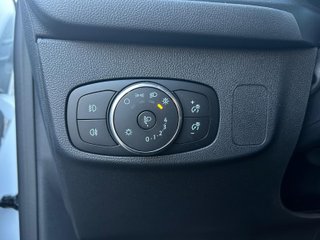 Ford Focus StLine MHev
