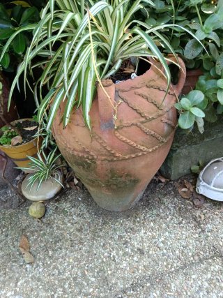 2 Maceteros terracota