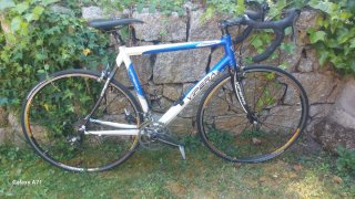 Bicicleta de carretera Vipera