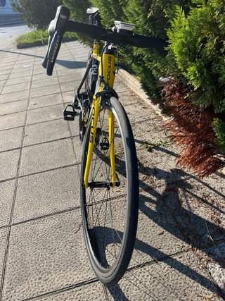 Bicicleta Focus Cayo Amarilla