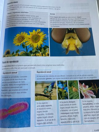 Biologia i Geologia 1r Secundària Llibre alumne...