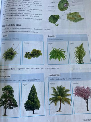 Biologia i Geologia 1r Secundària Llibre alumne...