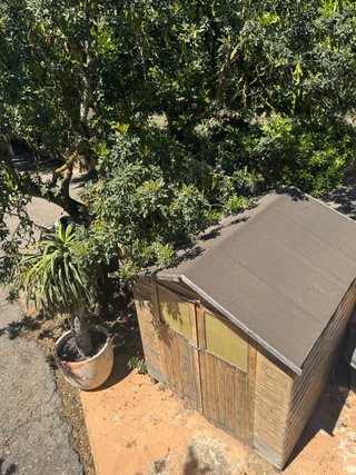 Caseta de jardín madera 183x182x215 cm