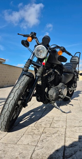 Harley Davidson 883 Negra