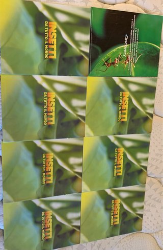 Colección libros insectos