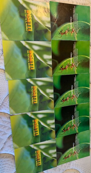 Colección libros insectos