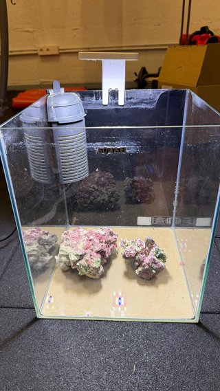 Acuario Aquael transparente con rocas