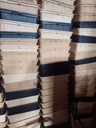 Macetas Hidropónicas Plástico Beige/Negro