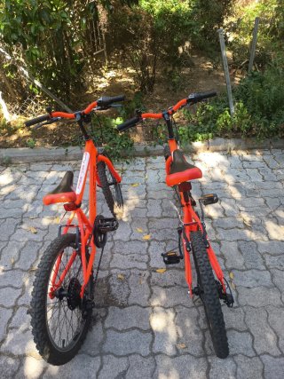Bicicletas 20 para niños (2 unidades)
