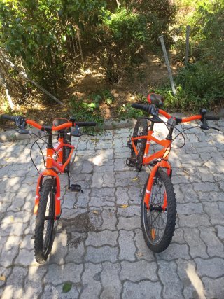 Bicicletas 20 para niños (2 unidades)