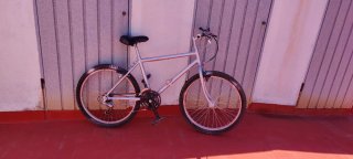Bicicleta junior galvanizado en gris.