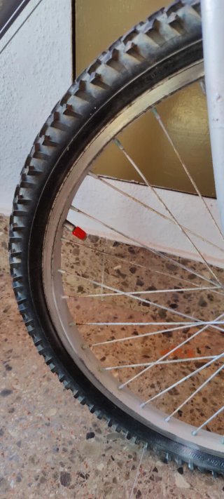 Bicicleta junior galvanizado en gris.