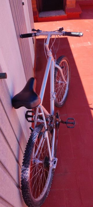 Bicicleta junior galvanizado en gris.
